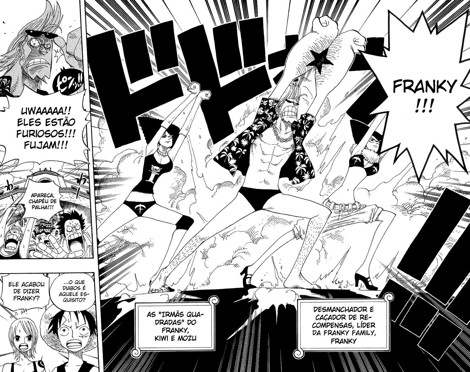 One Piece capítulo 335 página 14