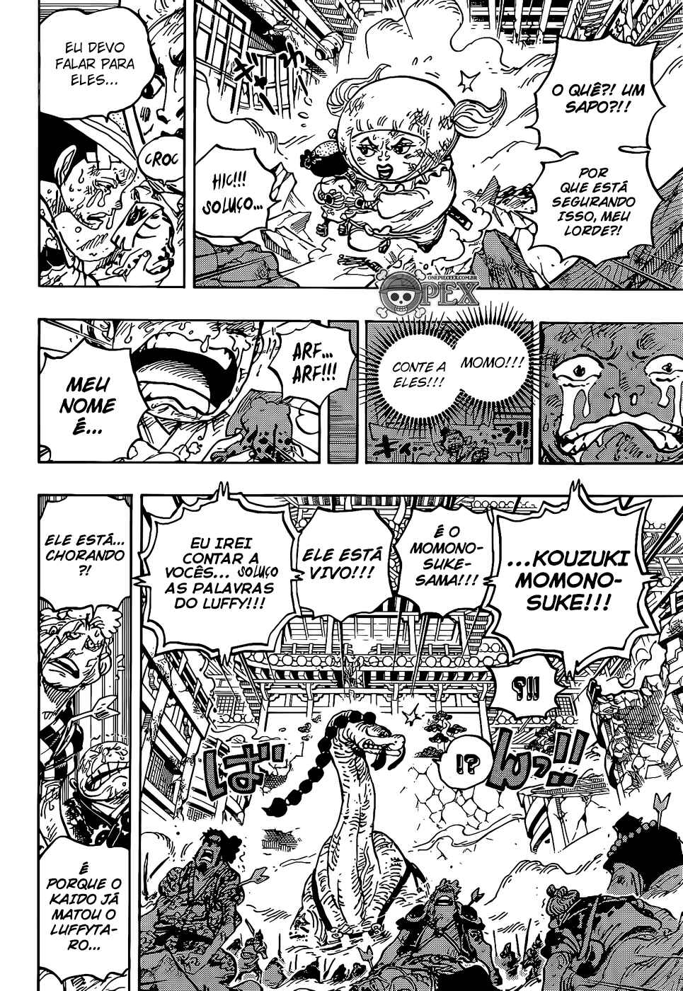 One Piece capítulo 1015 página 11