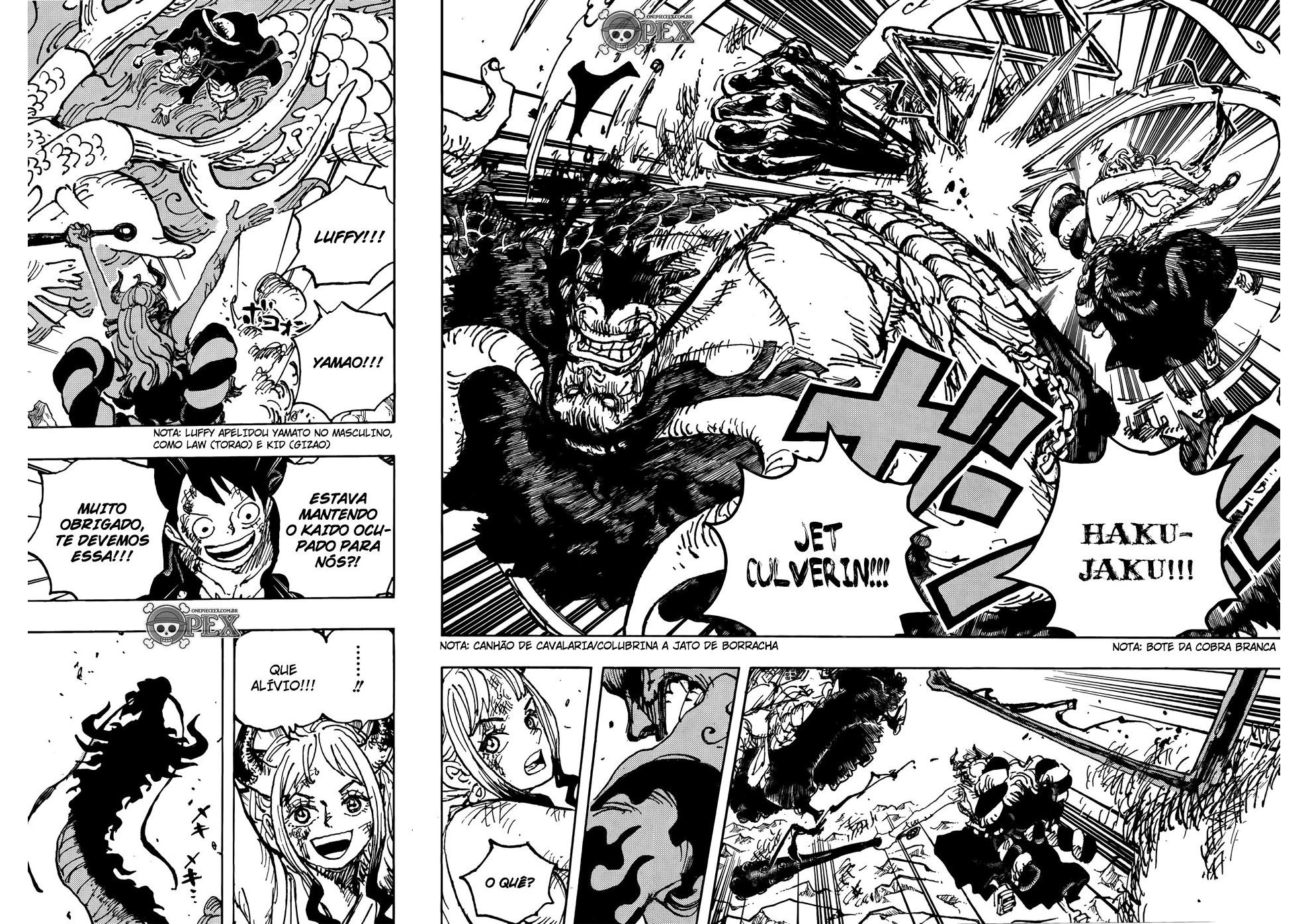 One Piece capítulo 1025 página 14