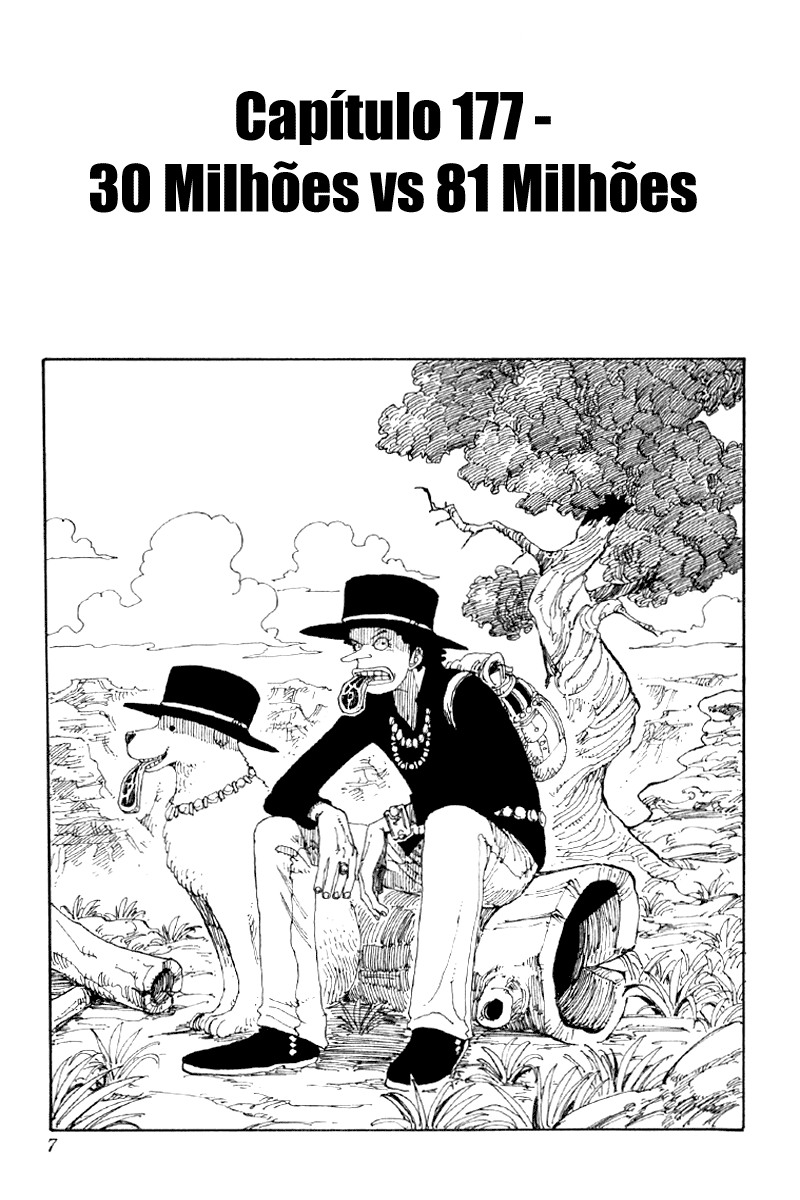 One Piece capítulo 177.30 página 8