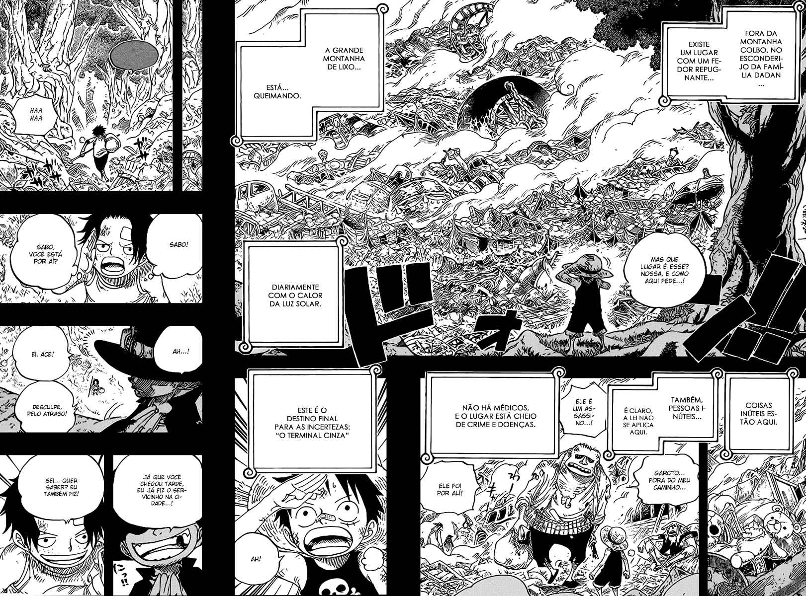 One Piece capítulo 583 página 11