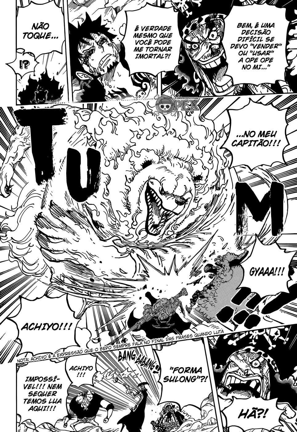 One Piece capítulo 1081 página 14
