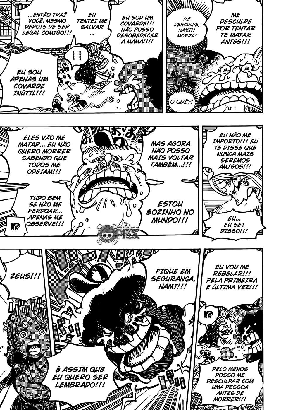 One Piece capítulo 1013 página 10