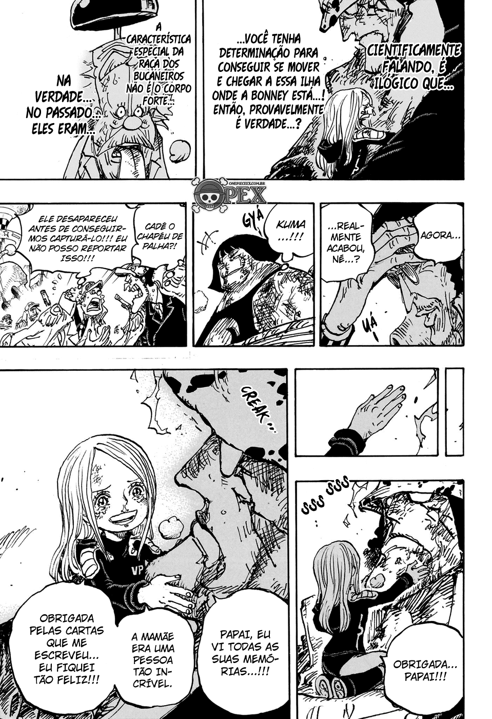 One Piece capítulo 1104 página 8
