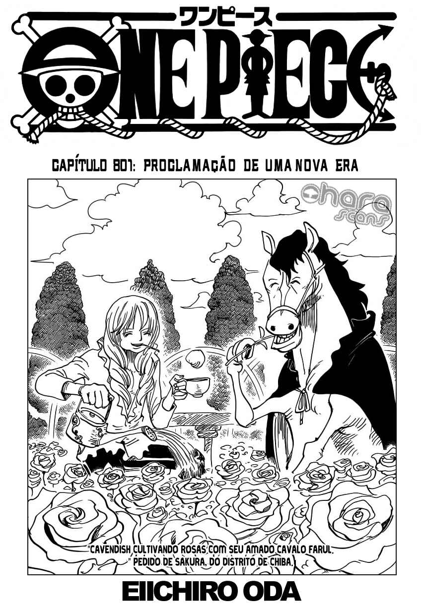 One Piece capítulo 801 página 3