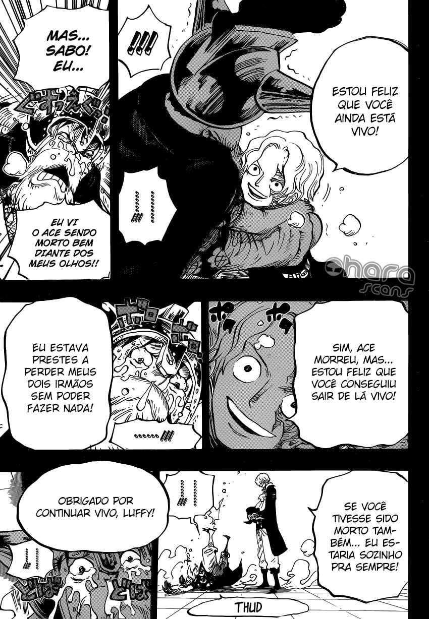 One Piece capítulo 794 página 14