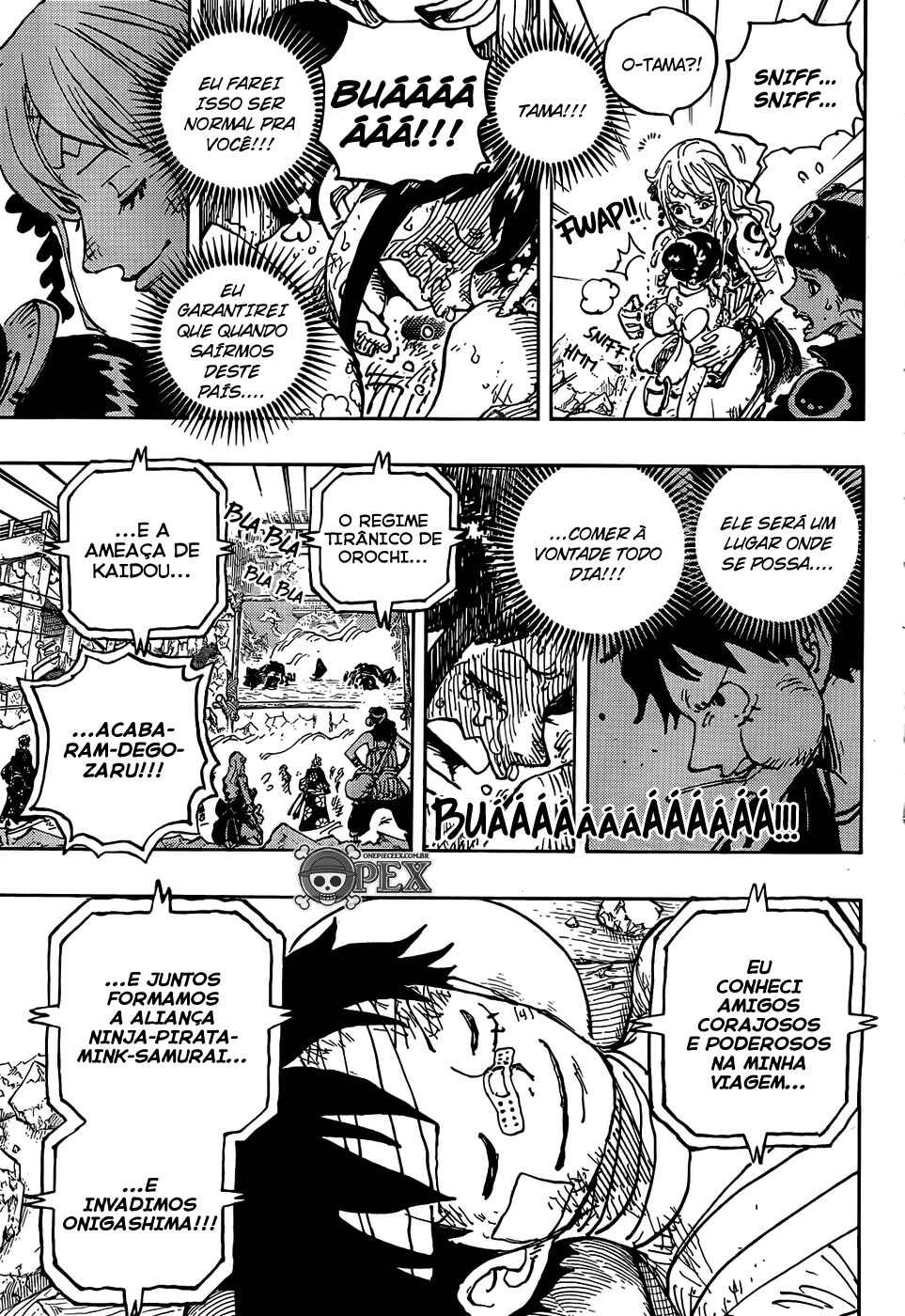 One Piece capítulo 1051 página 11
