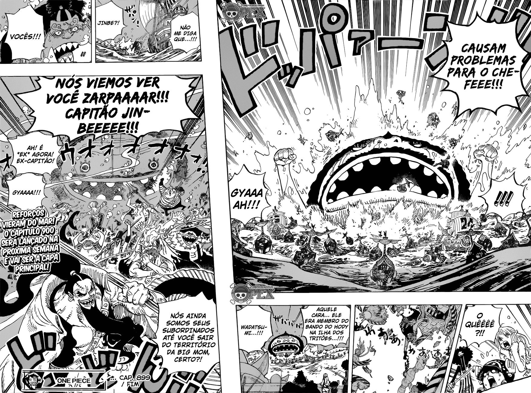 One Piece capítulo 899 página 17