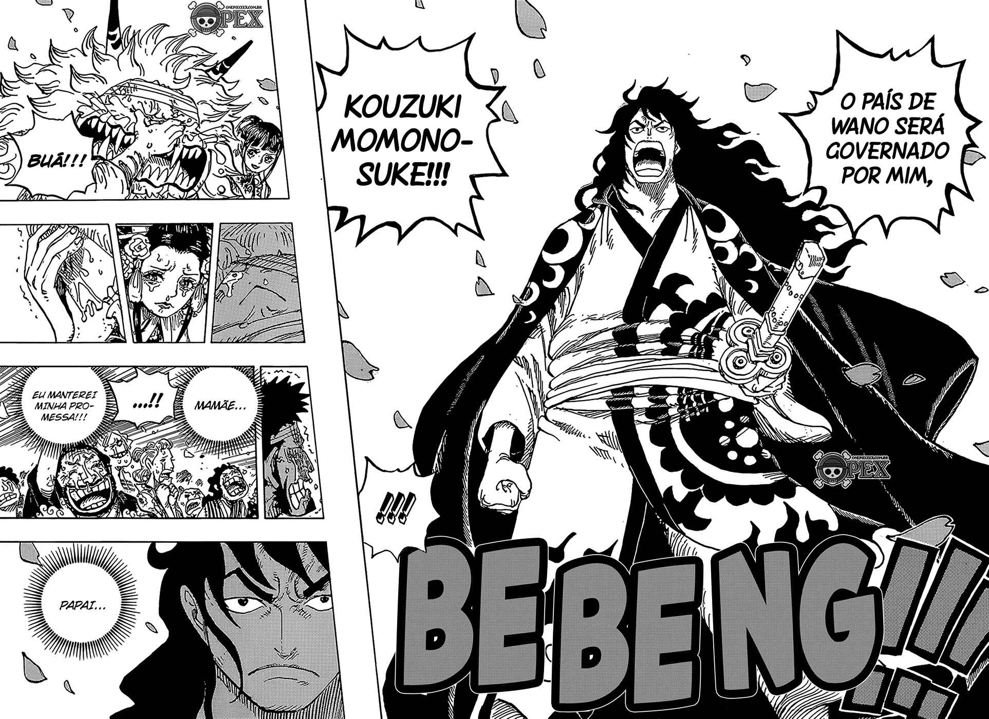 One Piece capítulo 1051 página 14