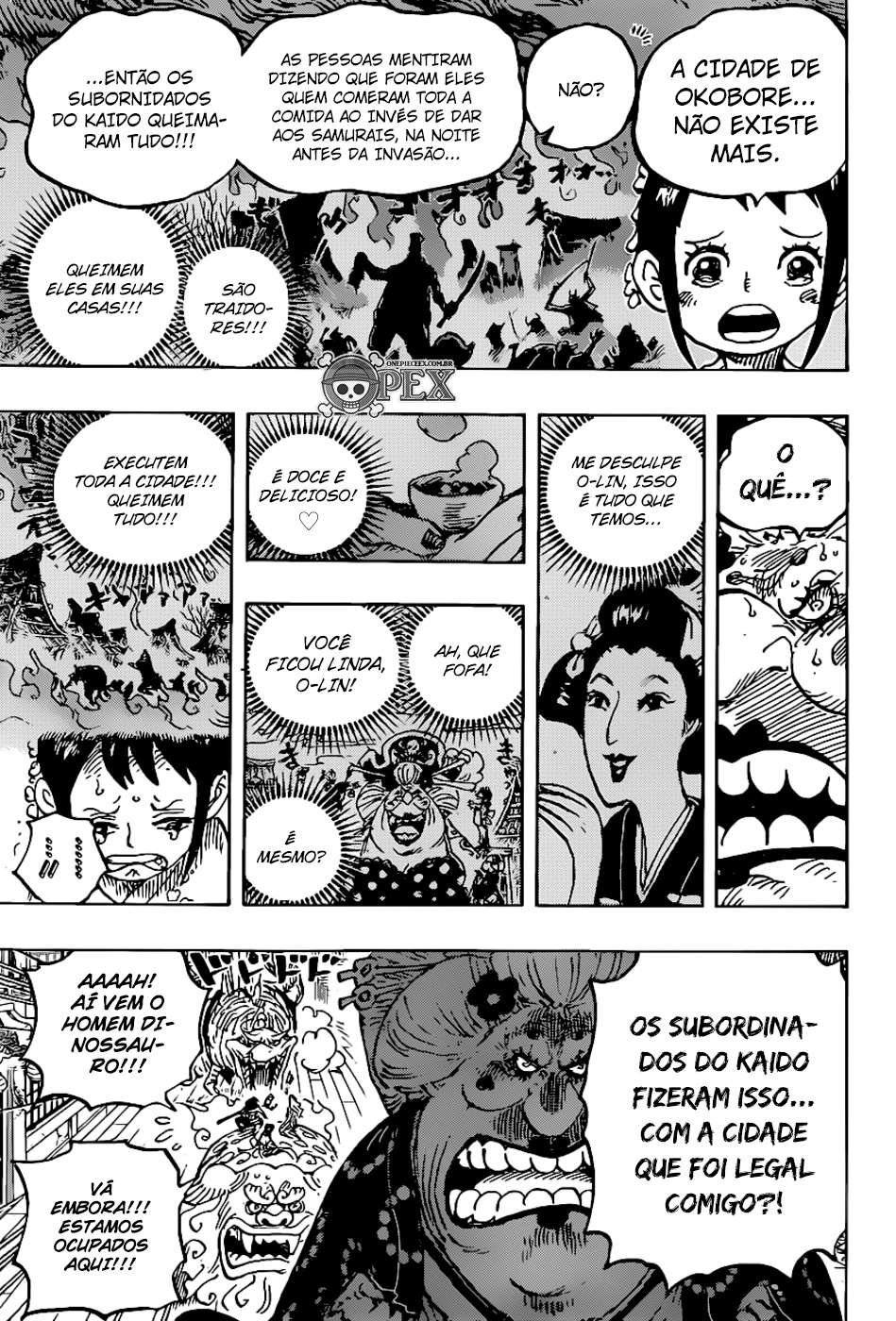 One Piece capítulo 1011 página 17