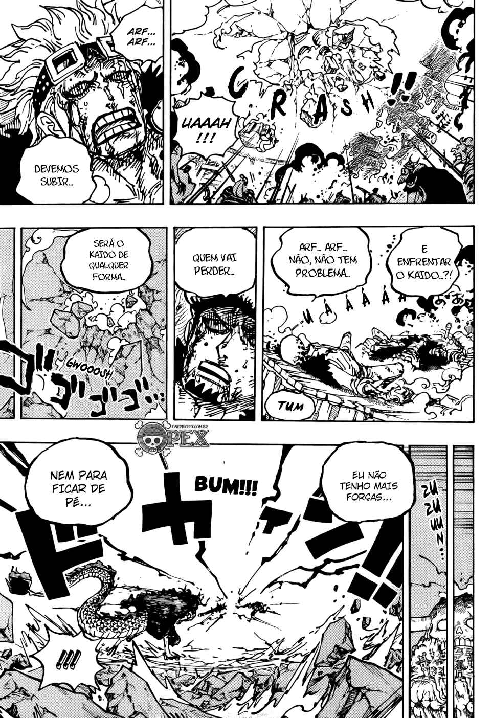One Piece capítulo 1041 página 13