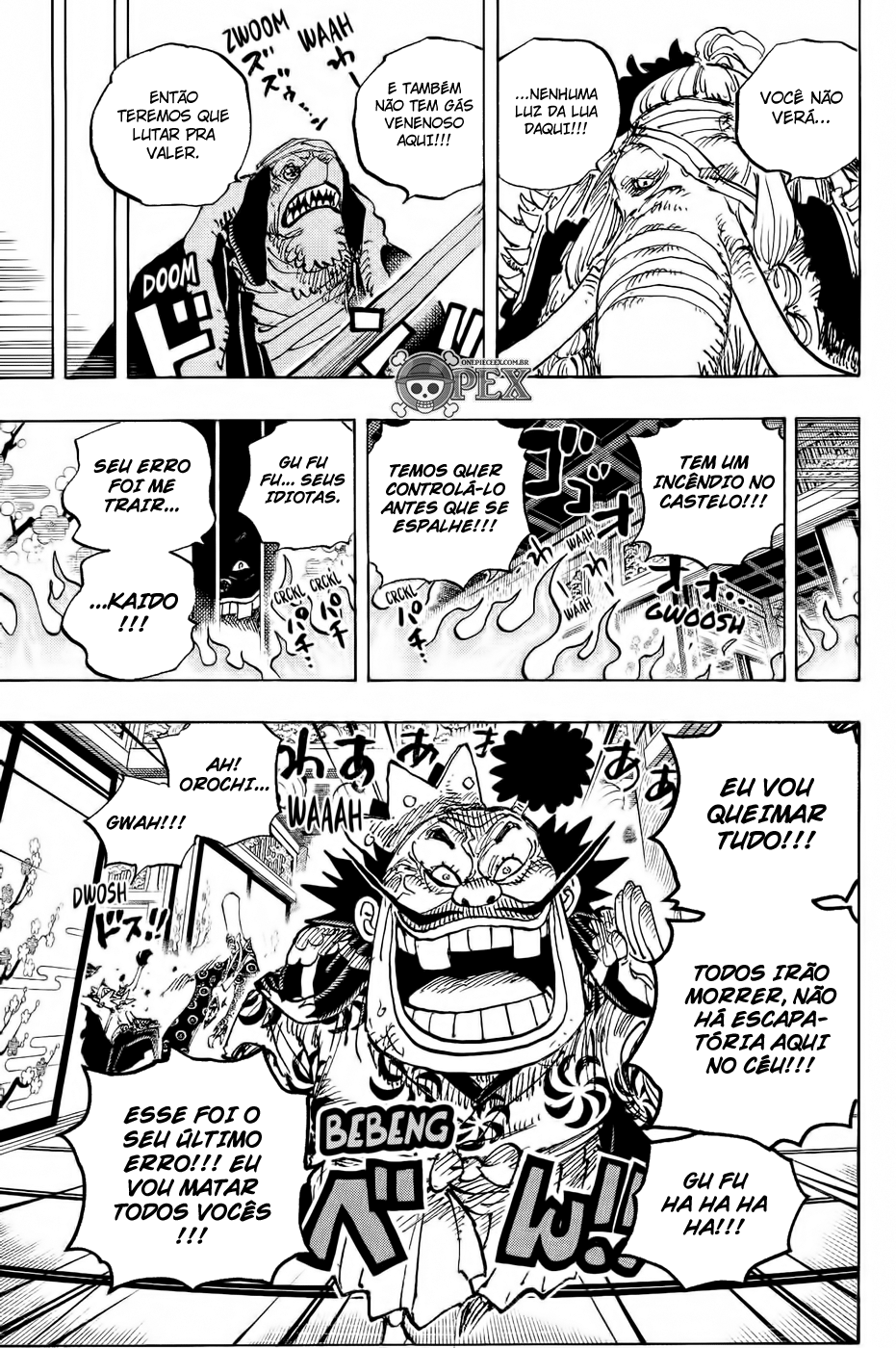 One Piece capítulo 1008 página 13