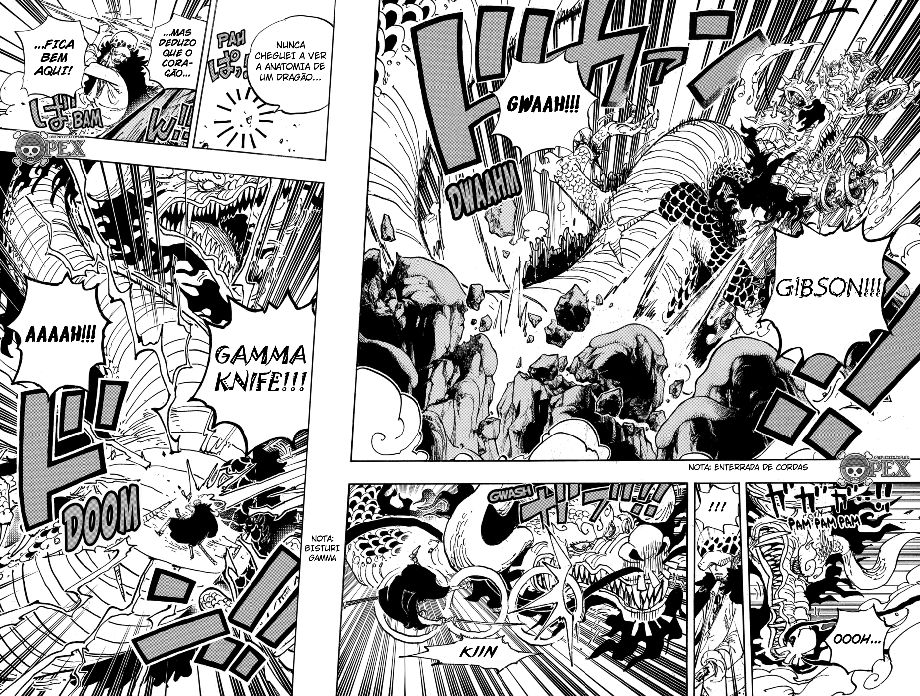 One Piece capítulo 1002 página 5