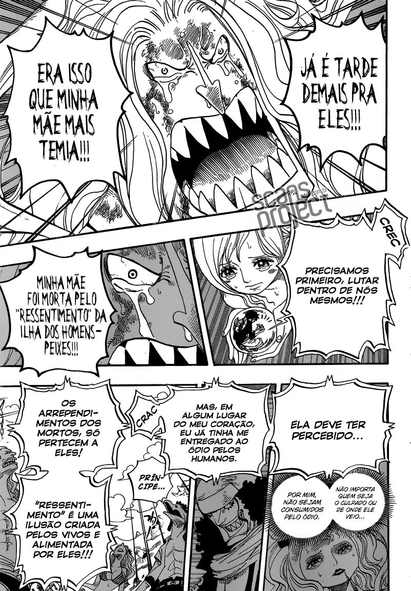 One Piece capítulo 644 página 14