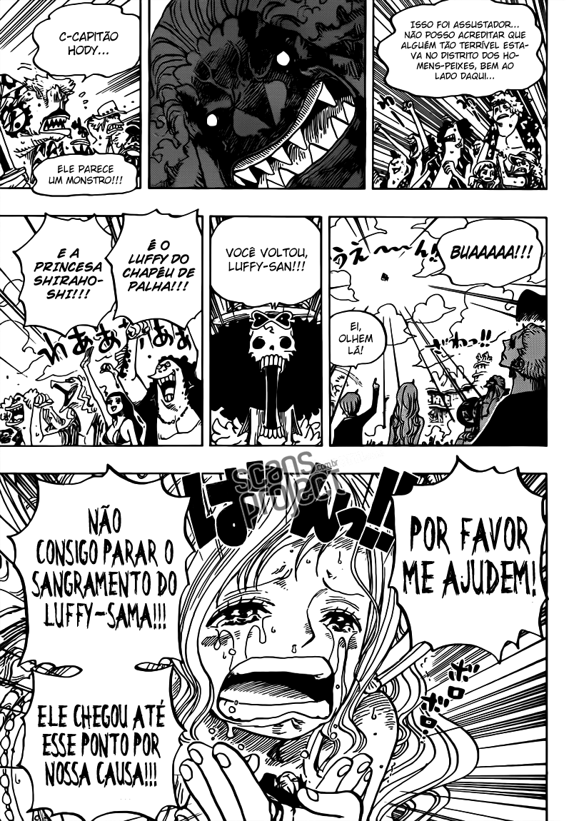 One Piece capítulo 648 página 13
