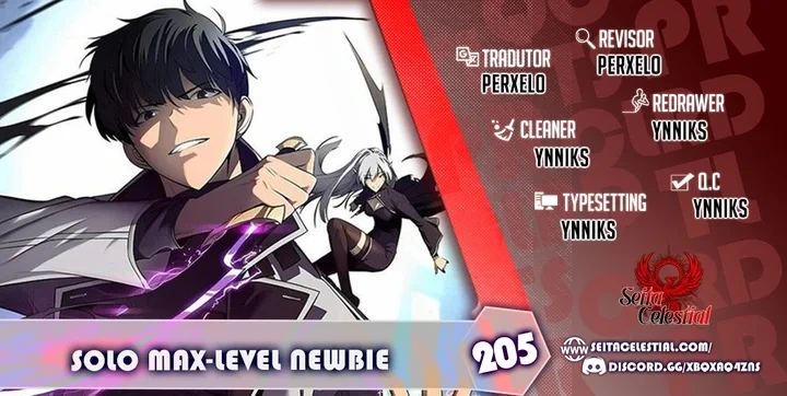 Solo Max-Level Newbie capítulo 205 página 1
