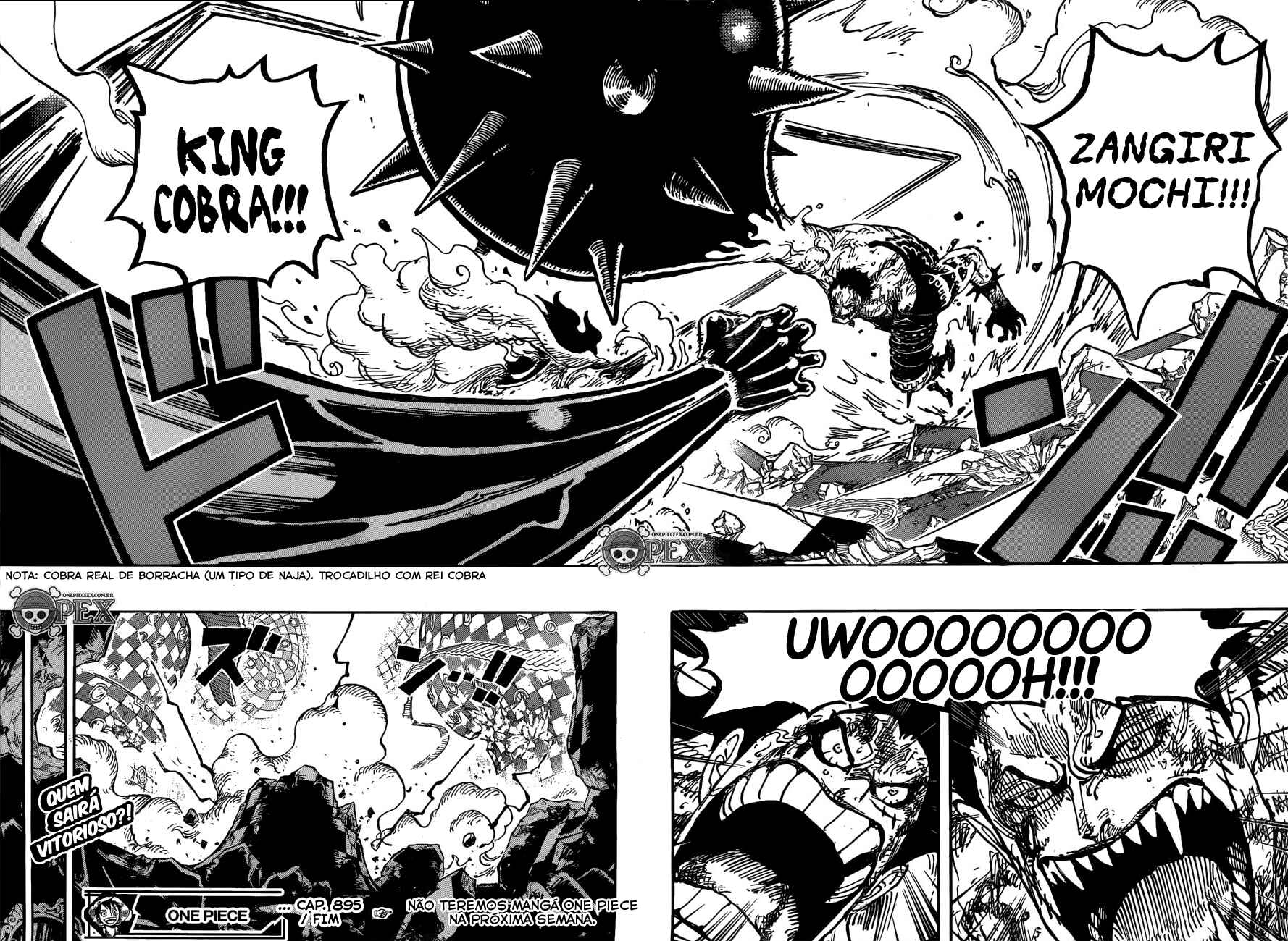 One Piece capítulo 895 página 16