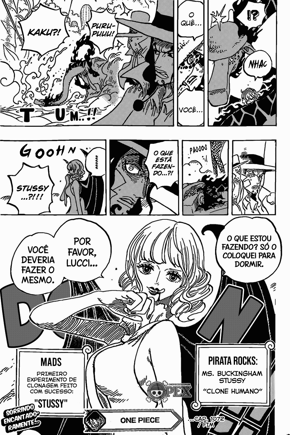 One Piece capítulo 1072 página 16