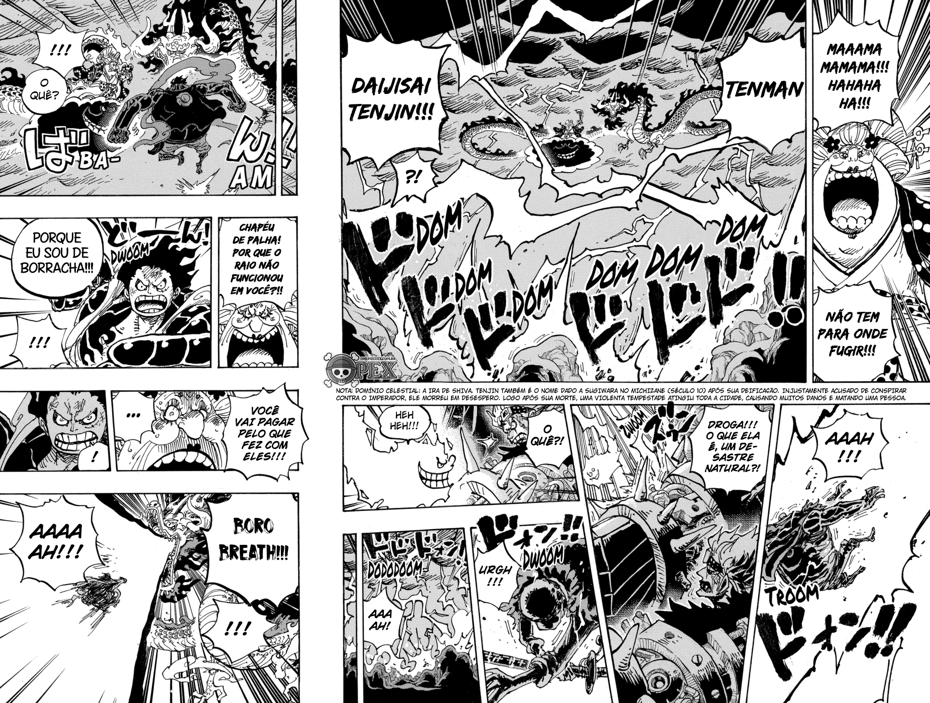 One Piece capítulo 1002 página 12