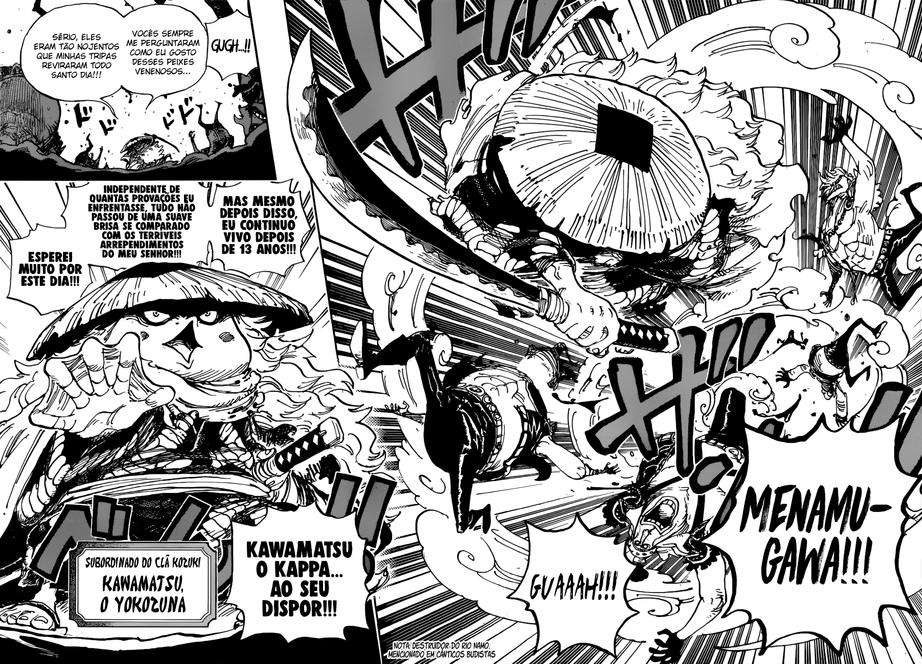 One Piece capítulo 948 página 12