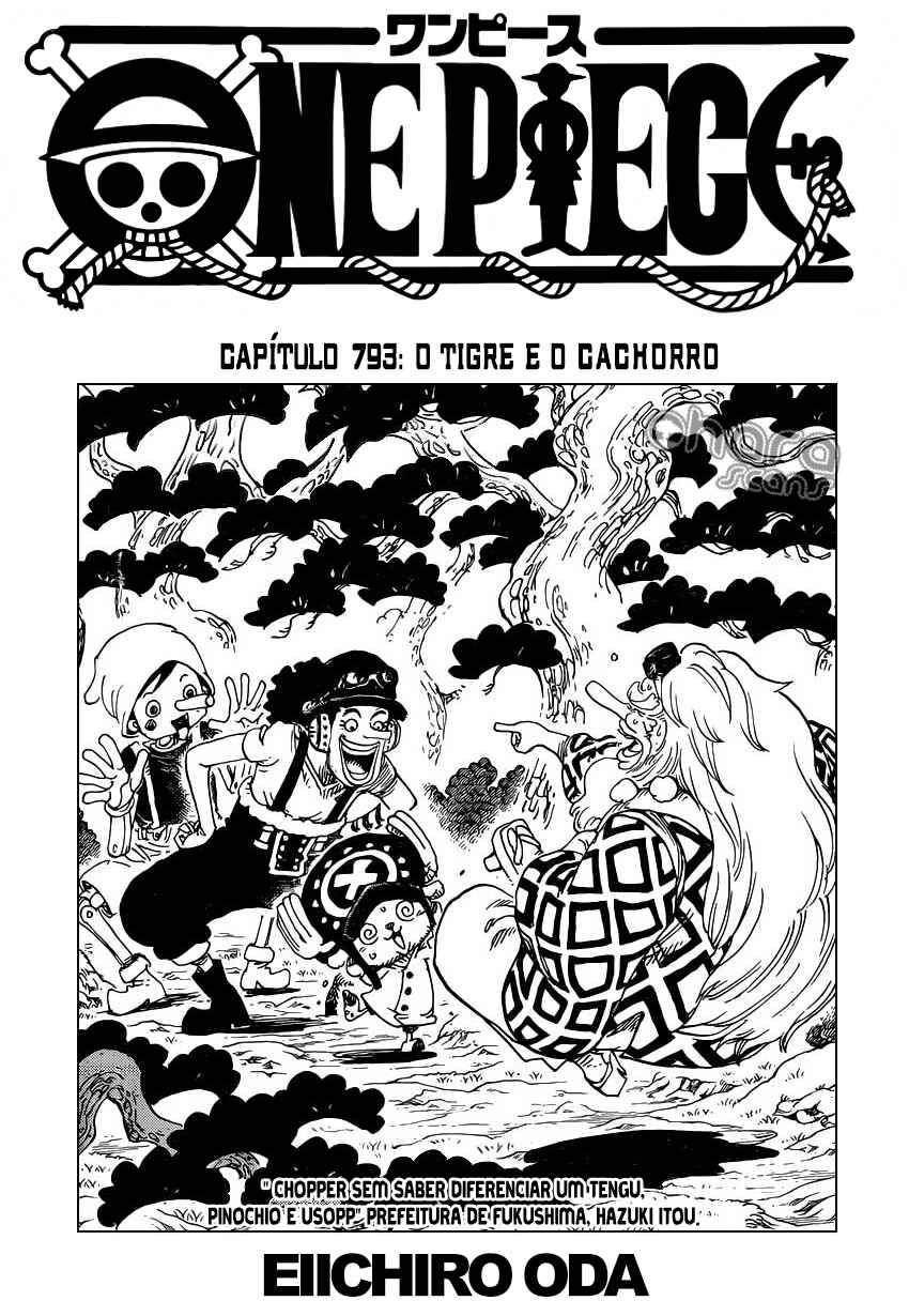 One Piece capítulo 793 página 3